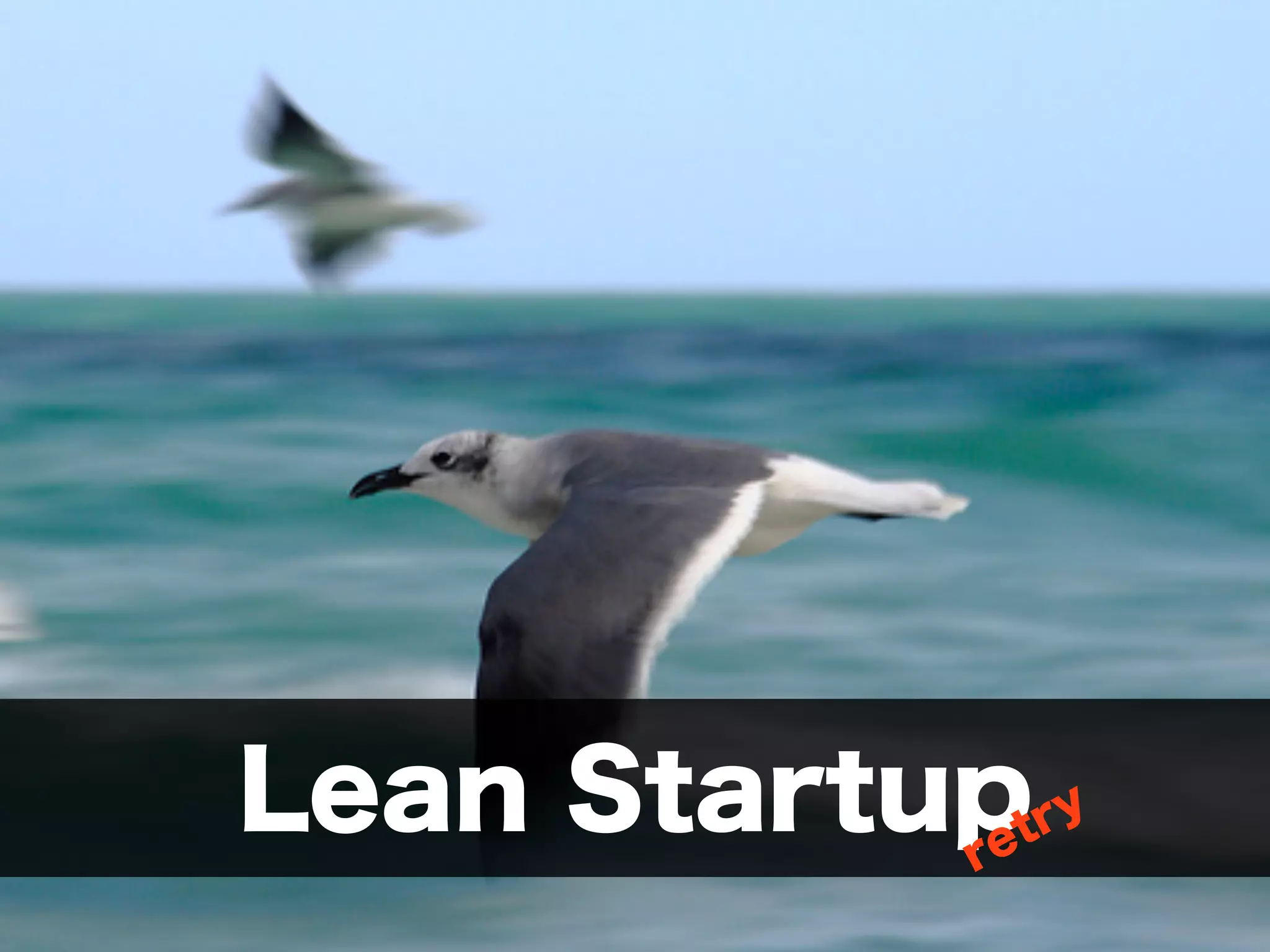 Lean Startupretry 
 