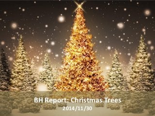 BH Report: Christmas Trees 
2014/11/30  