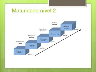 Maturidade nível 2 
 