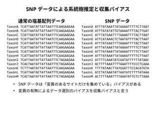 SNP データによる系統樹推定と収集バイアス 
通常の塩基配列データSNP データ 
TaxonA TCATTAATATTATTAATTTCAAGAAGAA 
TaxonB TCATTAATATTATTAATTTCAAGAAGAA 
TaxonC TCATTAATATTATTAATTTCAAGAAGAA 
TaxonD TCATTAATATTATTAATCTCAAGAAGAA 
TaxonE TCATTAATATTATTAATTTCAAGAAGAA 
TaxonF TCATTAATATTATTAATTTCAAGAAGAA 
TaxonG TCATTAATATTATTAATTTCAAGAAGAA 
TaxonH TCATTAATATTATTAATTTCAAGAAGAA 
TaxonI TCATTAATATTATTAATTTCTAGAAGAA 
TaxonJ TCACTAATATTATTAATTTCTAGAAGAA 
TaxonK TCTTTAATATTATTAATTTCAAGAAGAA 
TaxonL TCATTAATACTATTAATTTCAAGAAGAA 
TaxonM TCACTAATATTATTAATTTCTAGAAGAA 
TaxonA ATTTATAAATTATAAAATTTTTCTTAAT 
TaxonB ATTTATATATTGTAAAATTTTACTTGAT 
TaxonC ATTTATGAATTTTAAAATTTTACTTAAT 
TaxonD ATTCATAAACTCTAATATTTTACTTAAT 
TaxonE ATTTATGAATTTTAAAATTTTACTTAAT 
TaxonF ATTTATAAATTATAAAATTTTTCTTAAT 
TaxonG ATTTATAAATTATAAAATTTTTCTTAAT 
TaxonH ATTTATAAATTATAAAATTTTTCTTAAT 
TaxonI ATTTTCAAATATCGATATTTTTTATAAC 
TaxonJ ACTTTTAAATTTTAAATTTTCCCTCAAA 
TaxonK TTTTATAACTTATGGATTTCCACATGTA 
TaxonL ATCTATAAATATTAATATCTTTTATAAA 
TaxonM ACTTTTAAATTTTAAATATTCTCTTAAA 
● SNP データは「変異のあるサイトだけを集めている」バイアスがある 
● 変異の有無によるデータ選別のバイアスを収集バイアスと言う 
 