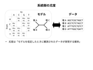 系統樹の尤度 
to 
from 
A 
A 
C G T 
C 
G 
T 
RAC 
πC 
RAG 
πG 
RAT 
πT 
RCG 
πC 
RCG 
πG 
RGT 
πG 
RCT 
πT 
RGT 
πT 
RAC 
πA 
RAG 
πA 
RAT 
πT 
RCT 
πC 
種A 
種B 
モデルデータ 
種C 
種D 
種A AGCTCGCTAGCT 
種B ACCTCTCTACCT 
種C ATTTGTCTGTCT 
種D ATTTGGCTGATT 
● 尤度は「モデルを仮定したときに観測されたデータが実現する確率」 
 