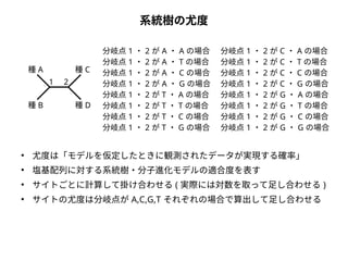 系統樹の尤度 
種A 
種B 
種C 
種D 
1 2 
分岐点1 ・2 がA ・A の場合 
分岐点1 ・2 がA ・T の場合 
分岐点1 ・2 がA ・C の場合 
分岐点1 ・2 がA ・G の場合 
分岐点1 ・2 がT ・A の場合 
分岐点1 ・2 がT ・T の場合 
分岐点1 ・2 がT ・C の場合 
分岐点1 ・2 がT ・G の場合 
分岐点1 ・2 がC ・A の場合 
分岐点1 ・2 がC ・T の場合 
分岐点1 ・2 がC ・C の場合 
分岐点1 ・2 がC ・G の場合 
分岐点1 ・2 がG ・A の場合 
分岐点1 ・2 がG ・T の場合 
分岐点1 ・2 がG ・C の場合 
分岐点1 ・2 がG ・G の場合 
● 尤度は「モデルを仮定したときに観測されたデータが実現する確率」 
● 塩基配列に対する系統樹・分子進化モデルの適合度を表す 
● サイトごとに計算して掛け合わせる( 実際には対数を取って足し合わせる) 
● サイトの尤度は分岐点がA,C,G,T それぞれの場合で算出して足し合わせる 
 