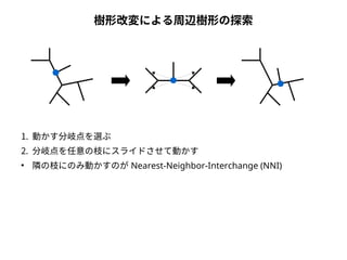 樹形改変による周辺樹形の探索 
1. 動かす分岐点を選ぶ 
2. 分岐点を任意の枝にスライドさせて動かす 
● 隣の枝にのみ動かすのがNearest-Neighbor-Interchange (NNI) 
 