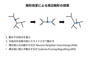 樹形改変による周辺樹形の探索 
1. 動かす分岐点を選ぶ 
2. 分岐点を任意の枝にスライドさせて動かす 
● 隣の枝にのみ動かすのがNearest-Neighbor-Interchange (NNI) 
● 隣の枝に限らず動かすのがSubtree-Pruning-Regrafting (SPR) 
 