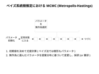 ベイズ系統樹推定におけるMCMC (Metropolis-Hastings) 
パラメータ 
を 
無作為選択 
パラメータ 
初期化 
定常状態 
に入る 
つづく 
1. 初期値を決めて尤度計算( ベイズ法では樹形もパラメータ) 
2. 無作為に選んだパラメータを提案分布に基づいて変更し、採択(or 棄却) 
 