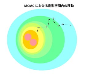 MCMC における樹形空間内の移動 
 