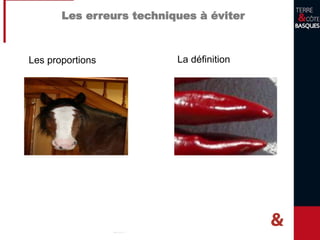 Pourquoi prendre soin de ses images?
Par le principe de la base de donnée unique, une image
fournie à votre Office de Tourisme se retrouvera sur :
 Le site internet de l’Office de Tourisme auquel vous
êtes adhérent
 Le site internet de Terre & Côte Basques
 Le site mobile et l’application Ma Côte Basque
 Le site du comité départemental
 Le site du comité régional
 …
Voici donc quelques conseils & règles de base
 