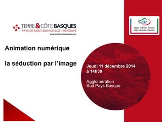 Animation numérique
La séduction par l’image
Niveau 1 Jeudi 12 novembre 2015
Agglomération Sud Pays
Basque
 