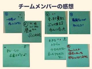 チームメンバーの感想 
 