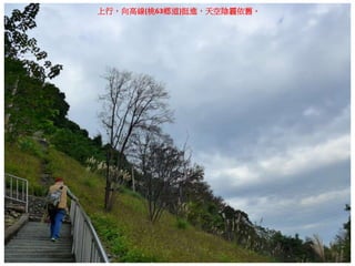 上行，向高線(桃63鄉道)挺進，天空陰霾依舊。
 