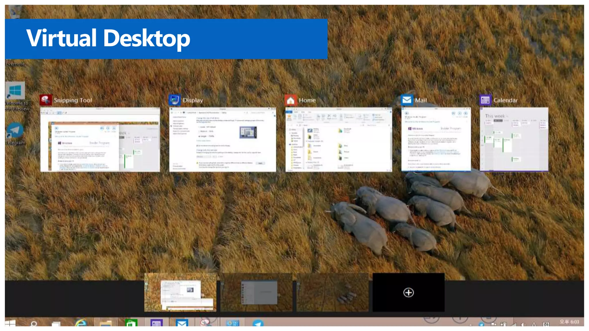 Virtual Desktop 
 