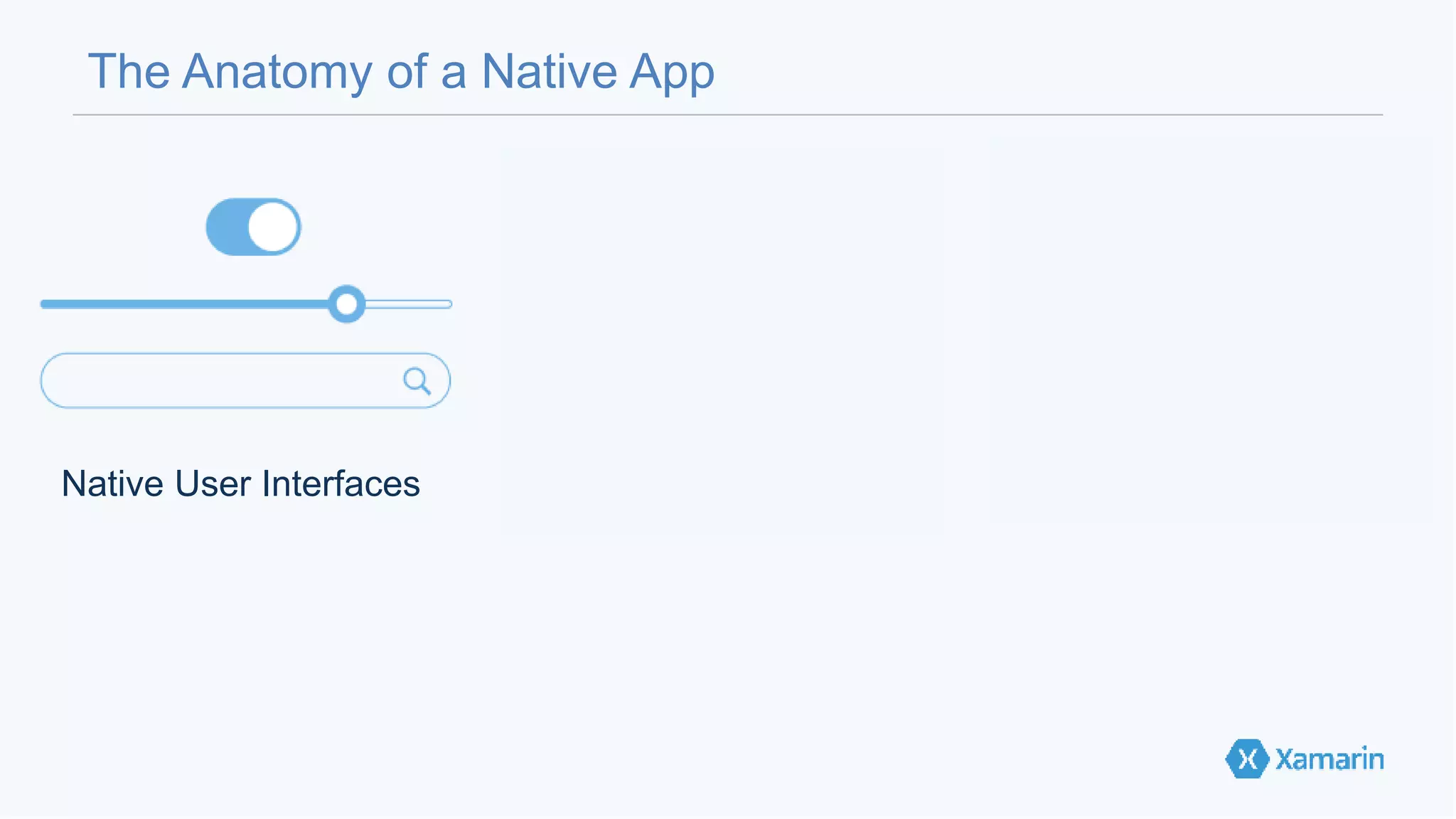 The Anatomy of a Native App 
Native User Interfaces Native API Access Native Performance 
 