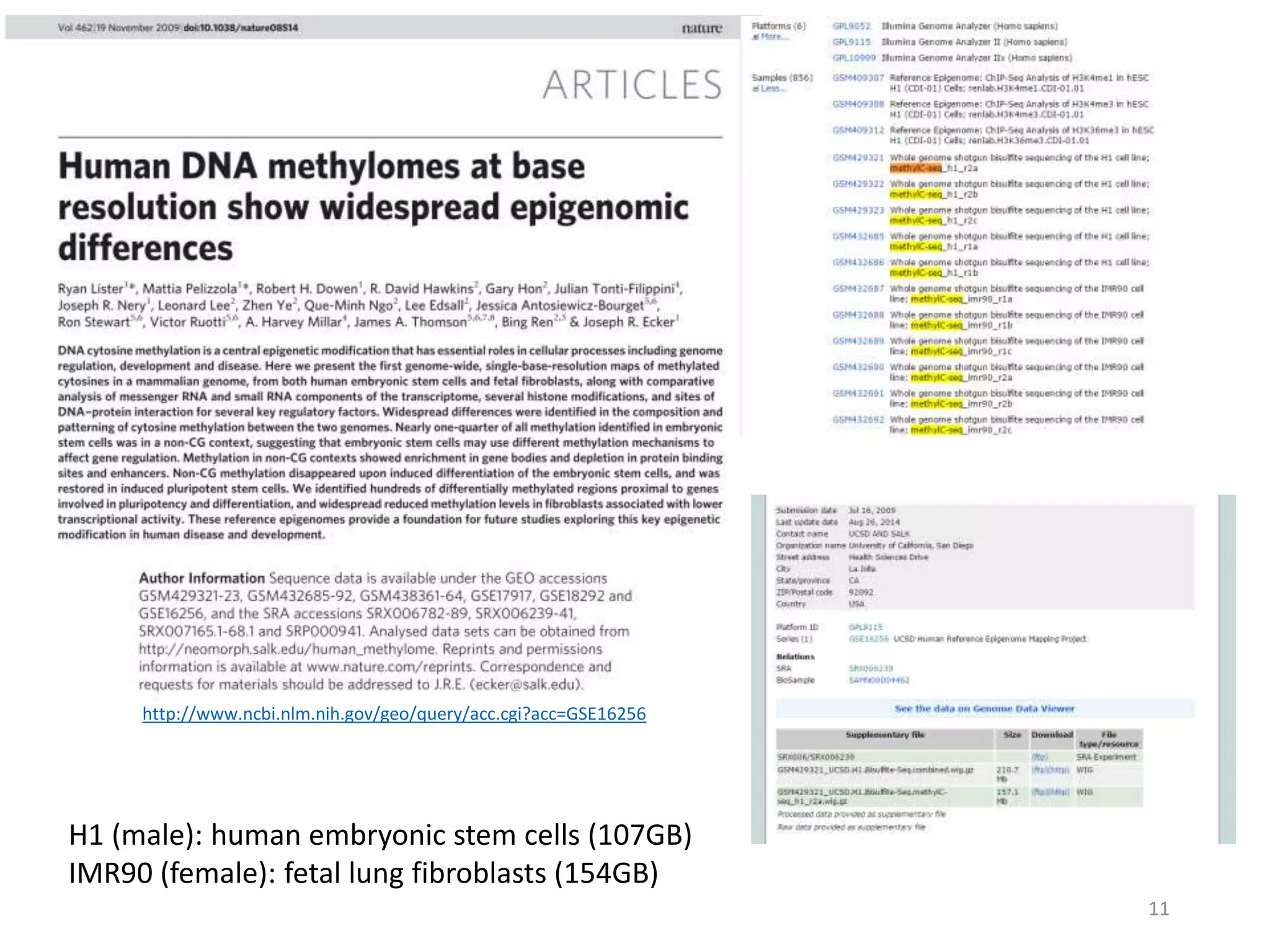 H1 (male): human embryonic stem cells (107GB)
IMR90 (female): fetal lung fibroblasts (154GB)
http://www.ncbi.nlm.nih.gov/geo/query/acc.cgi?acc=GSE16256
11
 