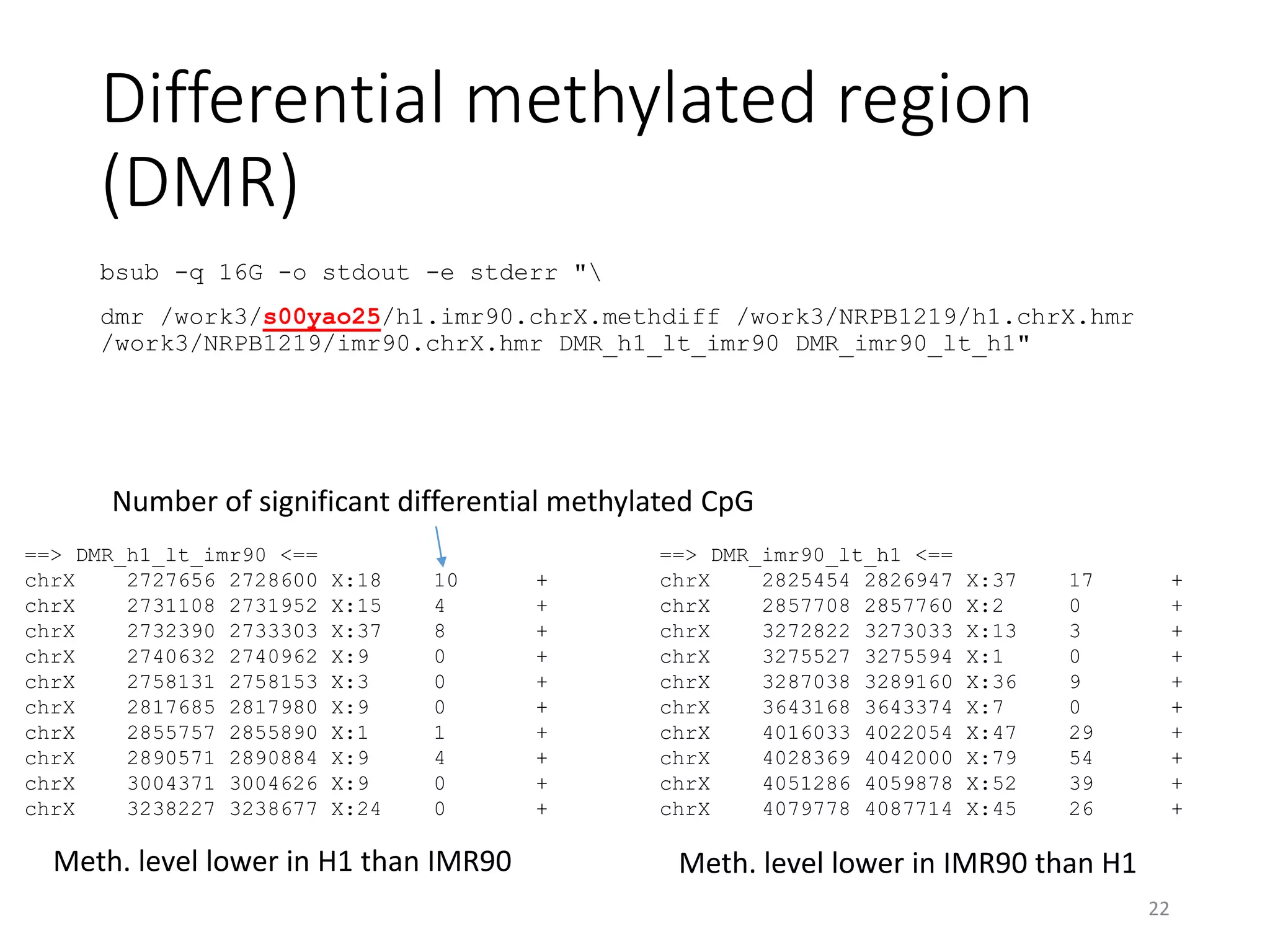 Differential methylated region
(DMR)
bsub -q 16G -o stdout -e stderr "
dmr /work3/s00yao25/h1.imr90.chrX.methdiff /work3/NRPB1219/h1.chrX.hmr
/work3/NRPB1219/imr90.chrX.hmr DMR_h1_lt_imr90 DMR_imr90_lt_h1"
22
==> DMR_h1_lt_imr90 <==
chrX 2727656 2728600 X:18 10 +
chrX 2731108 2731952 X:15 4 +
chrX 2732390 2733303 X:37 8 +
chrX 2740632 2740962 X:9 0 +
chrX 2758131 2758153 X:3 0 +
chrX 2817685 2817980 X:9 0 +
chrX 2855757 2855890 X:1 1 +
chrX 2890571 2890884 X:9 4 +
chrX 3004371 3004626 X:9 0 +
chrX 3238227 3238677 X:24 0 +
==> DMR_imr90_lt_h1 <==
chrX 2825454 2826947 X:37 17 +
chrX 2857708 2857760 X:2 0 +
chrX 3272822 3273033 X:13 3 +
chrX 3275527 3275594 X:1 0 +
chrX 3287038 3289160 X:36 9 +
chrX 3643168 3643374 X:7 0 +
chrX 4016033 4022054 X:47 29 +
chrX 4028369 4042000 X:79 54 +
chrX 4051286 4059878 X:52 39 +
chrX 4079778 4087714 X:45 26 +
Number of significant differential methylated CpG
Meth. level lower in H1 than IMR90 Meth. level lower in IMR90 than H1
 