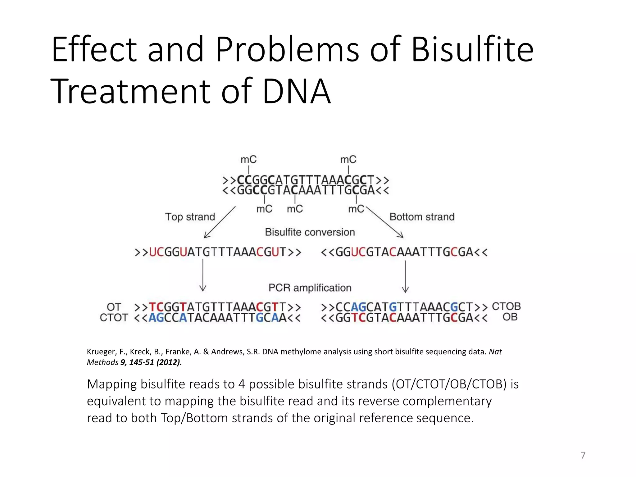 Effect and Problems of Bisulfite
Treatment of DNA
7
Krueger, F., Kreck, B., Franke, A. & Andrews, S.R. DNA methylome analysis using short bisulfite sequencing data. Nat
Methods 9, 145-51 (2012).
Mapping bisulfite reads to 4 possible bisulfite strands (OT/CTOT/OB/CTOB) is
equivalent to mapping the bisulfite read and its reverse complementary
read to both Top/Bottom strands of the original reference sequence.
 