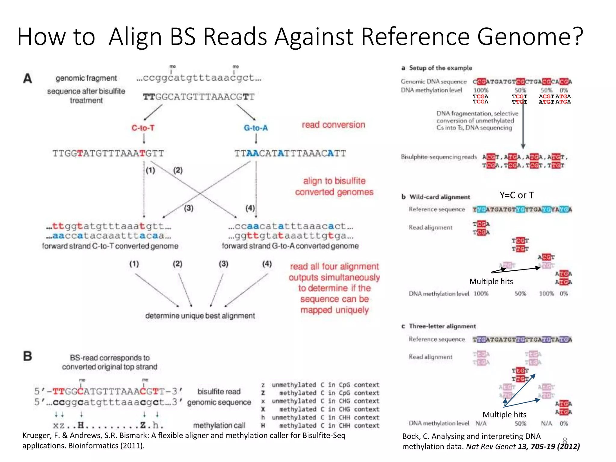 How to Align BS Reads Against Reference Genome?
8
Krueger, F. & Andrews, S.R. Bismark: A flexible aligner and methylation caller for Bisulfite-Seq
applications. Bioinformatics (2011).
Bock, C. Analysing and interpreting DNA
methylation data. Nat Rev Genet 13, 705-19 (2012)
Y=C or T
TCGA TCGT ACGT ATGA
Multiple hits
TTGT ATGT
Multiple hits
TCGA ATGA
 