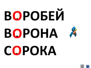 В . РОБЕЙ
В . РОНА
С . РОКАО
О
О
 