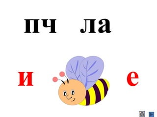 пч ла
и е
 