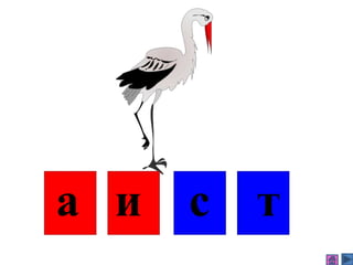 а и с т
 