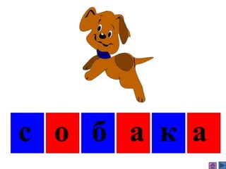 с о б а к а
 