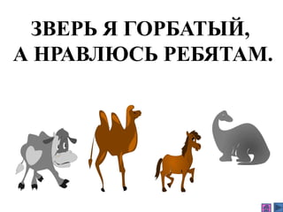 ЗВЕРЬ Я ГОРБАТЫЙ,
А НРАВЛЮСЬ РЕБЯТАМ.
 