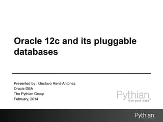 Oracle 12c and its pluggable
databases

Presented by : Gustavo René Antúnez
Oracle DBA
The Pythian Group
February, 2014

 