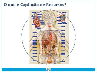 O que é Captação de Recursos?

 