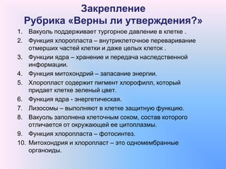 Закрепление
Рубрика «Верны ли утверждения?»
1. Вакуоль поддерживает тургорное давление в клетке .
2. Функция хлоропласта – внутриклеточное переваривание
отмерших частей клетки и даже целых клеток .
3. Функции ядра – хранение и передача наследственной
информации.
4. Функция митохондрий – запасание энергии.
5. Хлоропласт содержит пигмент хлорофилл, который
придает клетке зеленый цвет.
6. Функция ядра - энергетическая.
7. Лизосомы – выполняют в клетке защитную функцию.
8. Вакуоль заполнена клеточным соком, состав которого
отличается от окружающей ее цитоплазмы.
9. Функция хлоропласта – фотосинтез.
10. Митохондрия и хлоропласт – это одномембранные
органоиды.
 