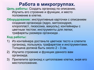Работа в микрогруппах.
Цель работы: Создать органоид по описанию.
Изучить его строение и функции, и место
положение в клетке.
Оборудование: инструктивные карточки с описанием
создания органоида (ядро, митохондрия,
хлоропласт, лизосома, вакуоль); контейнеры с
цветным тестом; инструменты для лепки;
трафареты размера органоида .
Ход работы:
1) Из контейнера достаньте цветное тесто и слепите
органоид, пользуясь трафаретом и инструментами.
Толщина должна быть около 2 - 3 см.
2) Изучите строение и функции данного вам
органоида.
3) Прилепите органоид к цитоплазме клетки, зная его
местоположение.
 