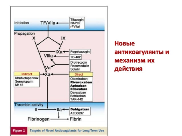 Эдоксабан Инструкция По Применению