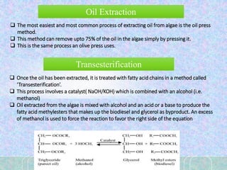Oil Extraction
 The most easiest and most common process of extracting oil from algae is the oil press
method.
 This method can remove upto 75% of the oil in the algae simply by pressing it.
 This is the same process an olive press uses.
Transesterification
 Once the oil has been extracted, it is treated with fatty acid chains in a method called
‘Transesterification’.
 This process involves a catalyst( NaOH/KOH) which is combined with an alcohol (i.e.
methanol)
 Oil extracted from the algae is mixed with alcohol and an acid or a base to produce the
fatty acid methylesters that makes up the biodiesel and glycerol as byproduct. An excess
of methanol is used to force the reaction to favor the right side of the equation
 