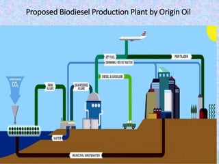 Proposed Biodiesel Production Plant by Origin Oil
 