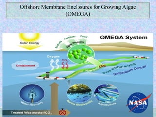 Offshore Membrane Enclosures for Growing Algae
(OMEGA)
 