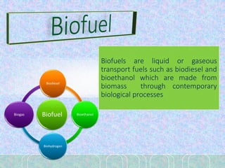 Biofuels are liquid or gaseous
transport fuels such as biodiesel and
bioethanol which are made from
biomass through contemporary
biological processes
 