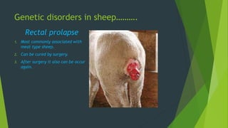 Genetic Abnormalities In Animals