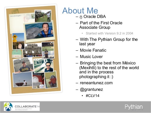 full time dba programs full time dba programs