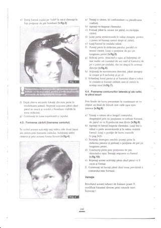 e)

uc'aldo la mica dismnE
TrneF foenul cuplat pe
fap po4iunii cle pdr bombate {v'fi9.3}.

in

a)

b)
c)
d)

Tfasali o carde, in conforrnitare cu planificarea
coafurii.
Agezali-ve inapoia chentului.
Foenagi pane }a usc?l.r€ tot perul, cu excepFa
car:irii.
Lua$ peria semirotund:i in mina dreapd, pentru
a putea si fenagi carrtul drept aI r'iri.rii.

e) tuali foenul ia

O

cealahe mnna.

Punegi peria la radecira parului, paralel cu

sensul cirdrii. Luafi o po4iune de par pe

g)

lungimea periei (v.fi9,5),
Ridicag peria, risuciad-o ugo5 9i ?ndreptali de
nai multe ori crrrentul de aer cald al foenului de
pe o parte pe sealalti, dar tot timpul in aceeagi
direcgie (v.ft9.6).

h)

Acgionaii ?n succesiunea descrisd, pina aiungegi
la cregtet gi il includegi gi pe el.

i)

Schirnba$ locul periei gi al fenului dintr-o mini
in cealalta 9i foenagi celdlalt cant al cir.irii in
acelaEi mod (v.fi9.7).

4.4. Foenarea contururilor laterale 9i ale eefel,
la pirul scurt

f)

g)

Prin fazele de lucn-r prezentate tn ccntinuare se va

Dupa cAteva seculde folosigi din nou peria in
rnodalitatea afitztL. Repetati acliunea p2ne c2nd
pid se usucd 3i rezult'; o bcmbare vizibiln in

obline un Snal de frizurE care cade u€or spre
iaterior (v.fi9.8).

zona rid'icinii.
ContinuaEi in zona superioari a capului.

a)

4.3. Formarea eiririi $cenarea cantului)
'

,l
i

b)

in carlrul acestei actirdtdti vegi ridica cele doui laruri
ale slrarii prin foenarea cantului. Sublinia$ asdel
cdrarea Si pdn aceasta fomra frizurii {v.fi9.4}.

c)

o cerarc de-a lungul conturului,
despe4ind prin ea po$unea ce trebuie foenati,
de paruJ ce va fi prelucrat mai tirziu (v.fi9.9).
ASezaEi-ve lateral inapcia cliennrlui. Luagi intr-o
mind o pede semirotundd gi in mina cealaltn
foenul. Lr:agi o poztge de lucnr comodA
(v.pag.343).

Trasagi

incepeEi deasupra urechii: pune{i peria la
rddicina p:irului Ei preluagi o po4iune de

pir

pe

priei.

d)
e)

f)

lungirnea
Conduceti peria prin po4iunea d. pat,
rdsucind-o uEor. insoEigi miEcarea cu foeoul

{v.ftg.10}.
Repeta$ aceste activitigi
uscat Ei fomat.

Continuafi

p2ni c{nd pirul va fi

si lucra$ pine c2nd zona prevlzutA

contunrlui este formati.

Variatie
Rezultanil acstei tehnici de fioenare poate fi
modificat folosind diverse perii rotunde mari"
incercag I

.g

160

-

a

 