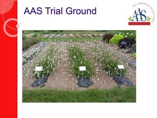 AAS Trial Ground 
 