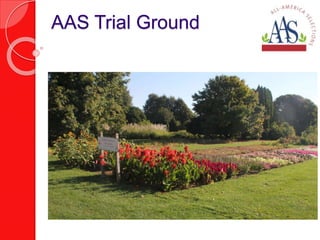 AAS Trial Ground 
 