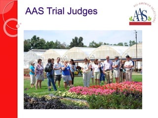 AAS Trial Judges 
 