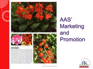 AAS’ 
Marketing 
and 
Promotion 
 