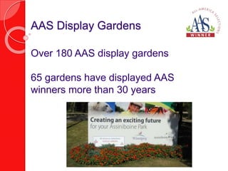AAS Display Gardens 
Over 180 AAS display gardens 
65 gardens have displayed AAS 
winners more than 30 years 
 