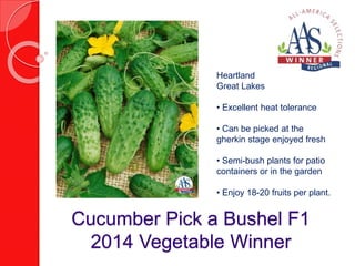Heartland 
Great Lakes 
• Excellent heat tolerance 
• Can be picked at the 
gherkin stage enjoyed fresh 
• Semi-bush plants for patio 
containers or in the garden 
• Enjoy 18-20 fruits per plant. 
Cucumber Pick a Bushel F1 
2014 Vegetable Winner 
 