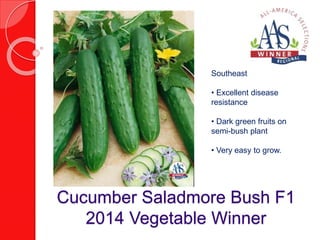 Southeast 
• Excellent disease 
resistance 
• Dark green fruits on 
semi-bush plant 
• Very easy to grow. 
Cucumber Saladmore Bush F1 
2014 Vegetable Winner 
 