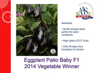 Northeast 
• Small compact plant 
perfect for patio 
containers 
• High yields of 2-3” fruits 
• Only 45 days from 
transplant to harvest 
Eggplant Patio Baby F1 
2014 Vegetable Winner 
 