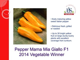 • Early maturing yellow 
sweet Italian pepper 
• Delicious fresh, grilled 
or roasted 
• Up to 30 bright yellow 
fruit on large sturdy bushy 
plants with excellent 
coverage from sunburn. 
Pepper Mama Mia Giallo F1 
2014 Vegetable Winner 
 