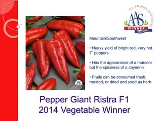 Mountain/Southwest 
• Heavy yield of bright red, very hot 
7” peppers 
• Has the appearance of a marconi 
but the spiciness of a cayenne 
• Fruits can be consumed fresh, 
roasted, or dried and used as herb 
Pepper Giant Ristra F1 
2014 Vegetable Winner 
 