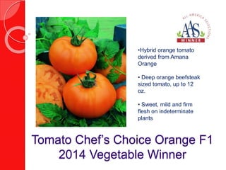 •Hybrid orange tomato 
derived from Amana 
Orange 
• Deep orange beefsteak 
sized tomato, up to 12 
oz. 
• Sweet, mild and firm 
flesh on indeterminate 
plants 
Tomato Chef’s Choice Orange F1 
2014 Vegetable Winner 
 