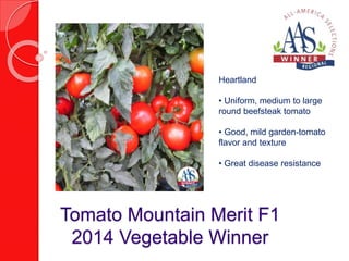 Heartland 
• Uniform, medium to large 
round beefsteak tomato 
• Good, mild garden-tomato 
flavor and texture 
• Great disease resistance 
Tomato Mountain Merit F1 
2014 Vegetable Winner 
 