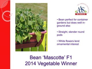• Bean perfect for container 
gardens but does well in-ground 
also 
• Straight, slender round 
pods 
• White flowers lend 
ornamental interest 
Bean ‘Mascotte’ F1 
2014 Vegetable Winner 
 